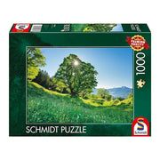 Schmidt - Berg-Ahorn im Sonnenlicht, St. Gallen - 1000 Teile Puzz