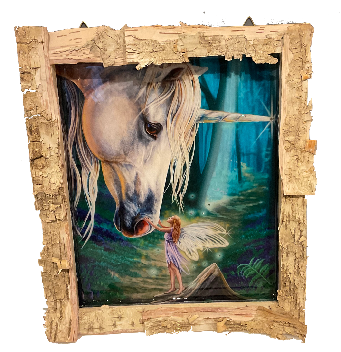 Wunder im Elfenland - Nur CHF 55! Jetzt kaufen auf fluxed.ch