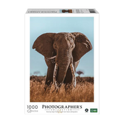 Ambassador | Afrikanischer Elefant - 1000 Teile Puzzle