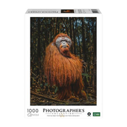 Ambassador | Orang-Utan - 1000 Teile Puzzle