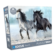 Blue Focus | Horses - 1000 Teile Puzzle