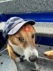 Hund mit Mütze