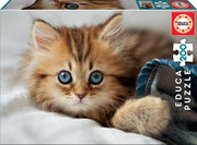 Educa - Kitten - 200 Teile Puzzle