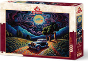Art Puzzle - A Night in Transylvania - 1000 Teile Puzzle