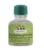 Eukalyptus globulus Bio | Ätherisches Öl