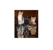 Diamond Painting Katzen Träume