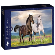 Bluebird | Couple de Chevaux - 500 Teile Puzzle