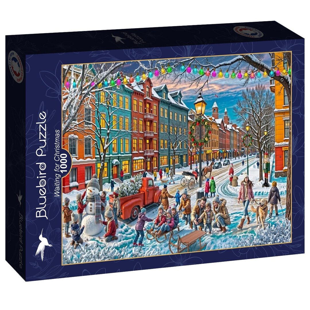 Bluebird - Waiting for Christmas - 1000 Teile Puzzle