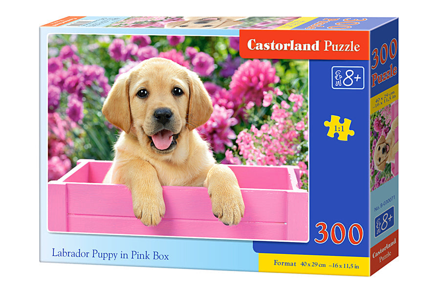 Castorland - Labrador Puppy in Pink Box - 300 Teile Puzzle - Nur CHF 13.90! Jetzt kaufen auf fluxed.ch