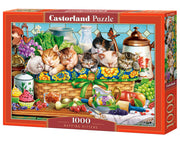 Castorland - Napping Kittens - 1000 Teile Puzzle