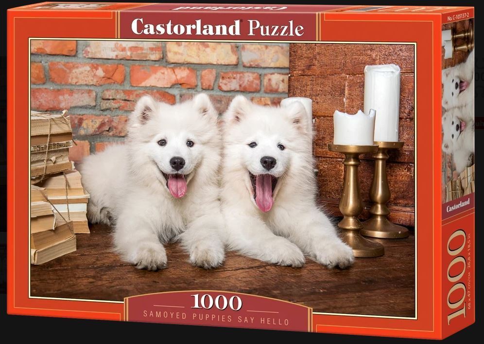Castorland - Samoyed Puppies say hello - 1000 Teile Puzzle - Nur CHF 17.90! Jetzt kaufen auf fluxed.ch