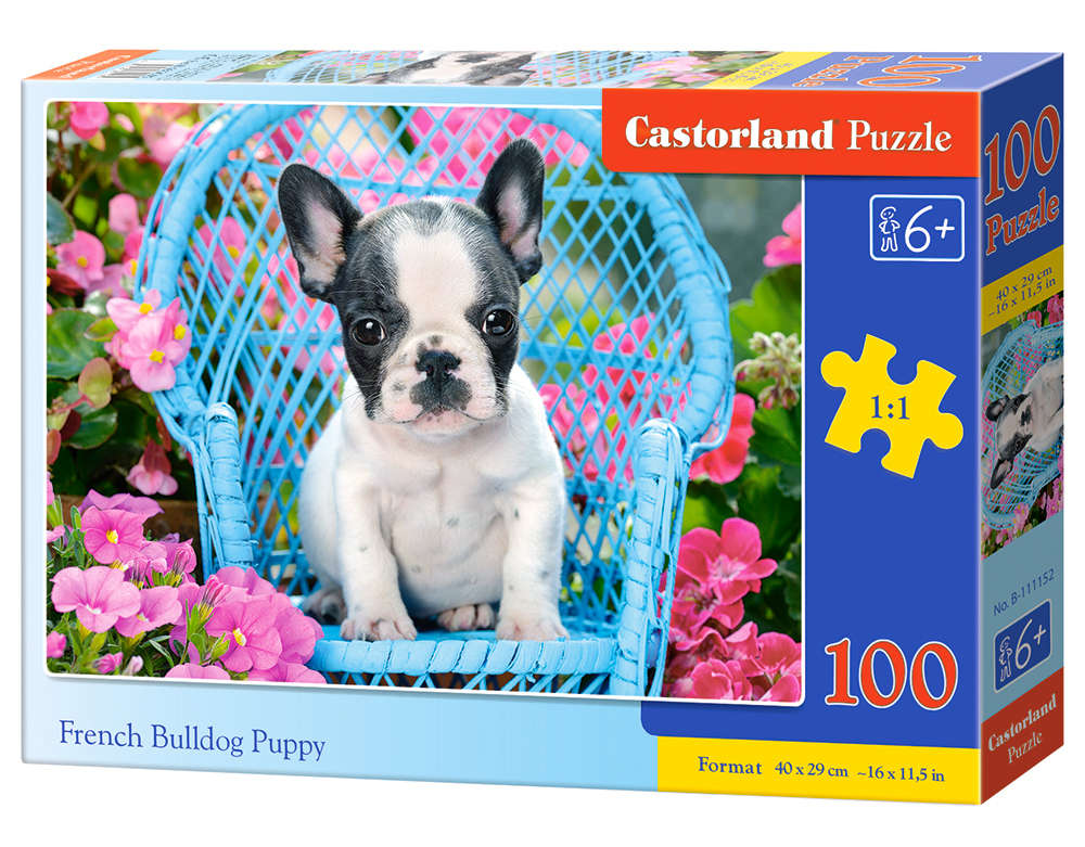 Castorland - French Bulldog Puppy - 100 Teile Puzzle - Nur CHF 13.90! Jetzt kaufen auf fluxed.ch