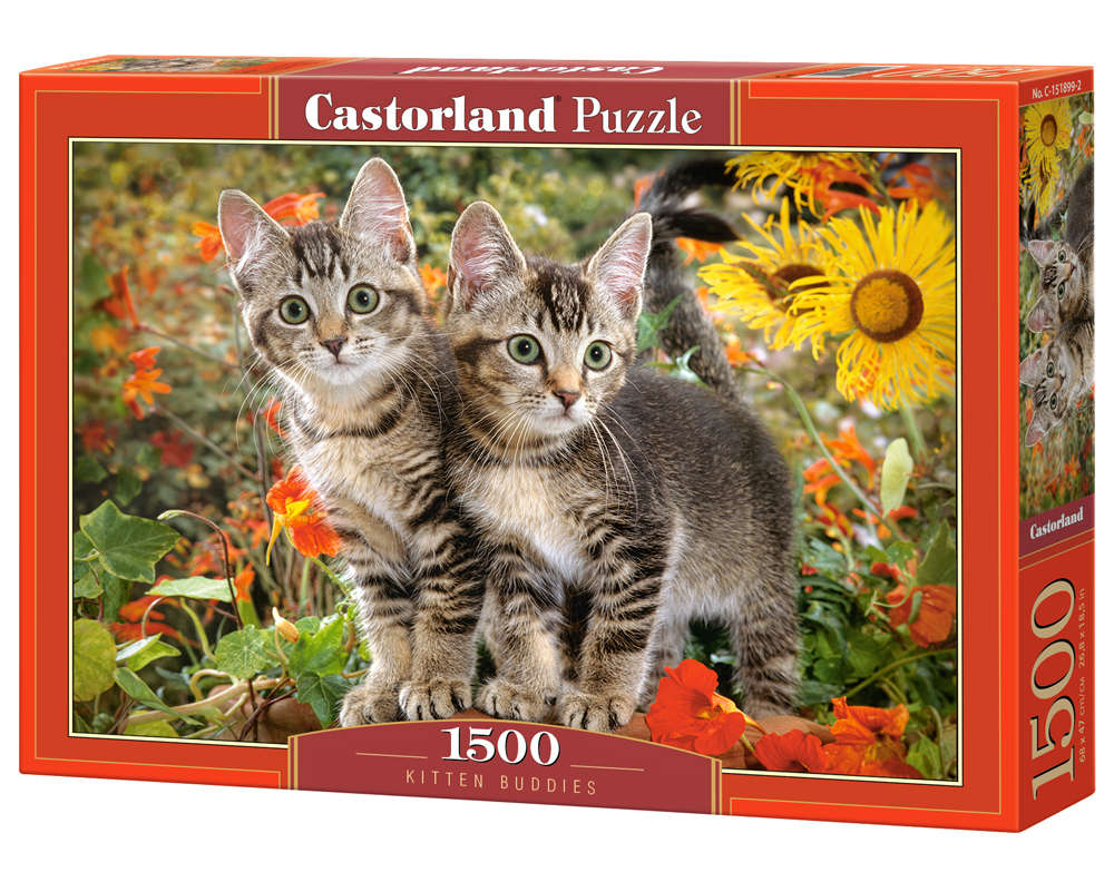 Castorland - Kitten Buddies - 1500 Teile Puzzle - Nur CHF 19.90! Jetzt kaufen auf fluxed.ch