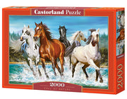 Castorland - Call of Nature - 2000 Teile Puzzle