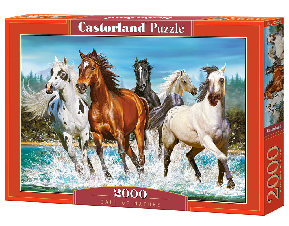 Castorland - Call of Nature - 2000 Teile Puzzle