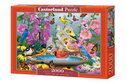 Castorland - Rhythm of Nature - 2000 Teile Puzzle