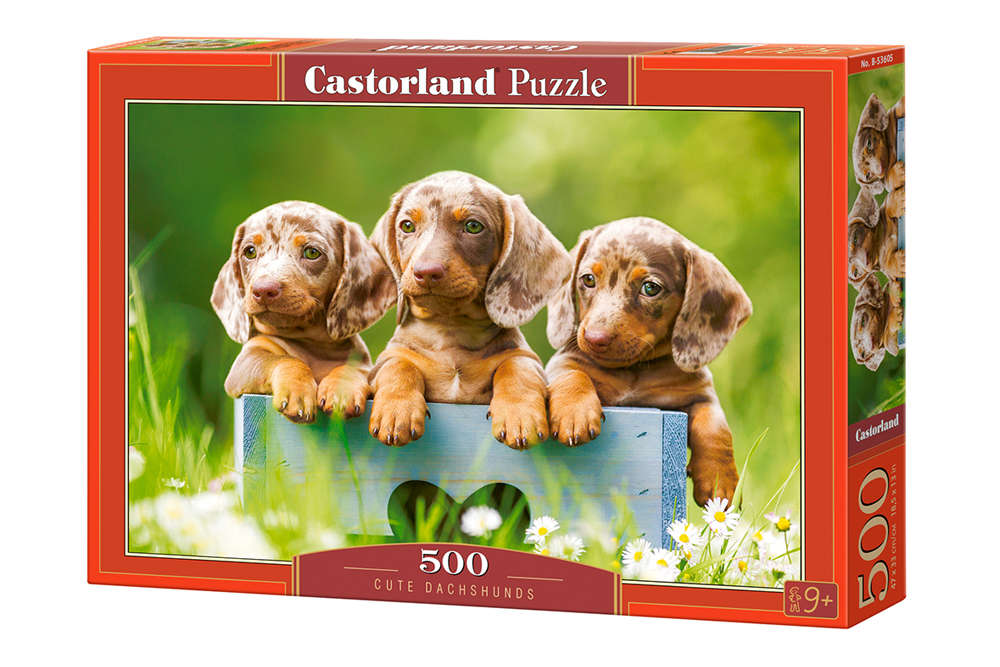 Castorland - Cute Dachshunds - 500 Teile Puzzle - Nur CHF 13.90! Jetzt kaufen auf fluxed.ch