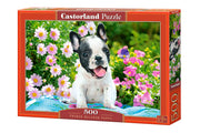 Castorland - French Bulldog Puppy - 500 Teile Puzzle