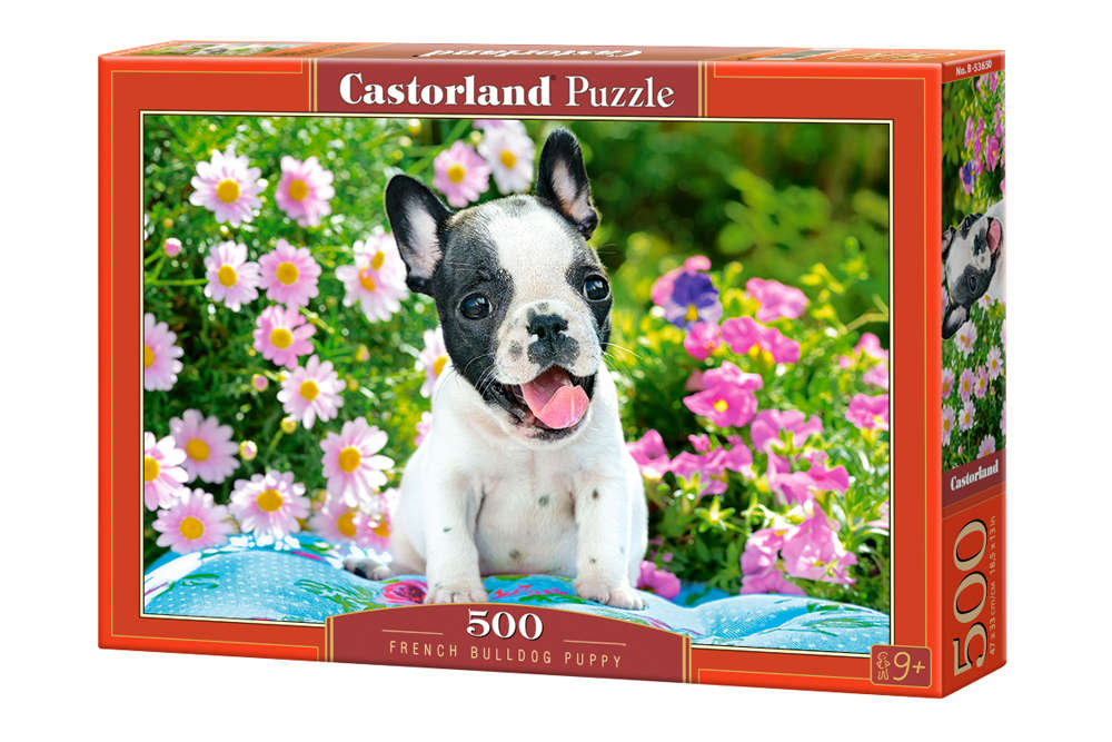 Castorland - French Bulldog Puppy - 500 Teile Puzzle - Nur CHF 13.90! Jetzt kaufen auf fluxed.ch