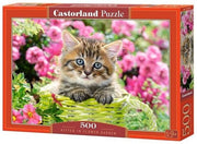 Castorland - Kitten in Flower Garden - 500 Teile Puzzle