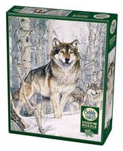 Cobble Hill - Second Glance - 1000 Teile Puzzle