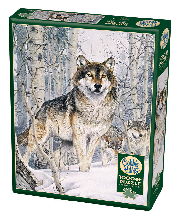 Cobble Hill - Second Glance - 1000 Teile Puzzle
