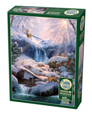 Cobble Hill - Mystic Falls in Winter - 1000 Teile Puzzle