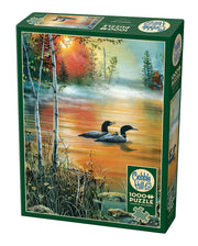 Cobble Hill - Morning Mist - 1000 Teile Puzzle
