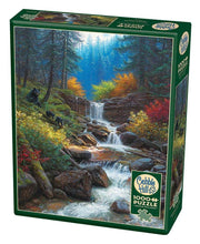 Cobble Hill - Mountain Cascade - 1000 Teile Puzzle