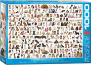 Eurographics - Hundewelt - 1000 Teile Puzzle