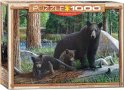 Eurographics - Neue Entdeckungen - 1000 Teile Puzzle