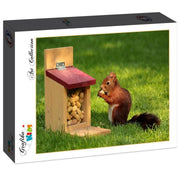 Grafika Kids - Eichhörnchen - 204 Teile Puzzle