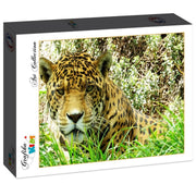Grafika Kids - Jaguar - 204 Teile Puzzle