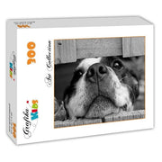 Grafika Kids - Hund - 300 Teile Puzzle