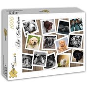 Grafika - Hunde - 1000 Teile Puzzle
