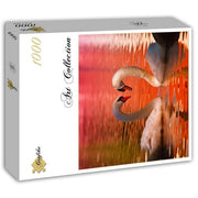Grafika - Schwäne - 1000 Teile Puzzle
