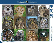 New York Puzzle Company - Owls and Owlets - 1000 Teile Puzzle
