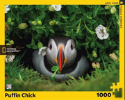 New York Puzzle Company - Puffin Chick - 1000 Teile Puzzle