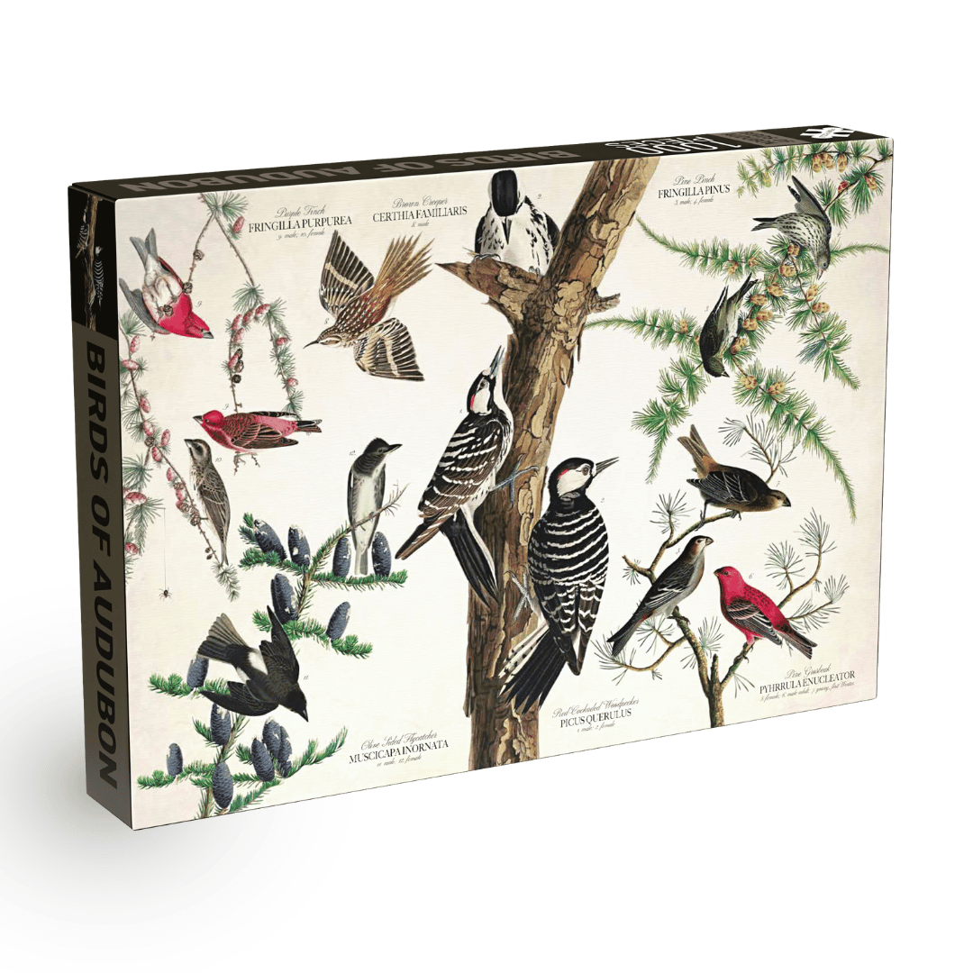 Penny Puzzle - Birds of Audubon - 1000 Teile Puzzle - Nur CHF 24.90! Jetzt kaufen auf fluxed.ch
