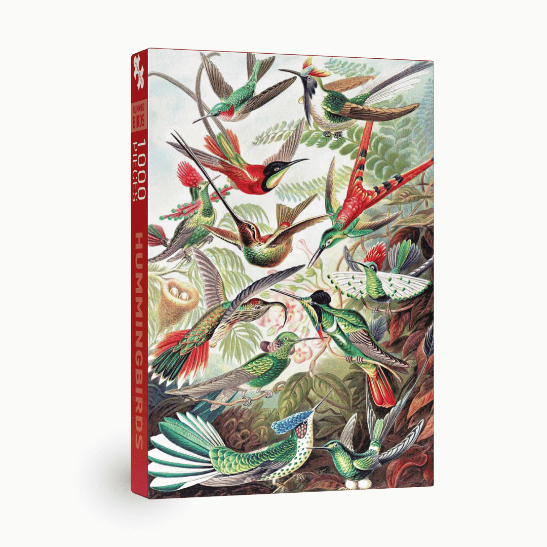 Penny Puzzle - Hummingbirds - 1000 Teile Puzzle