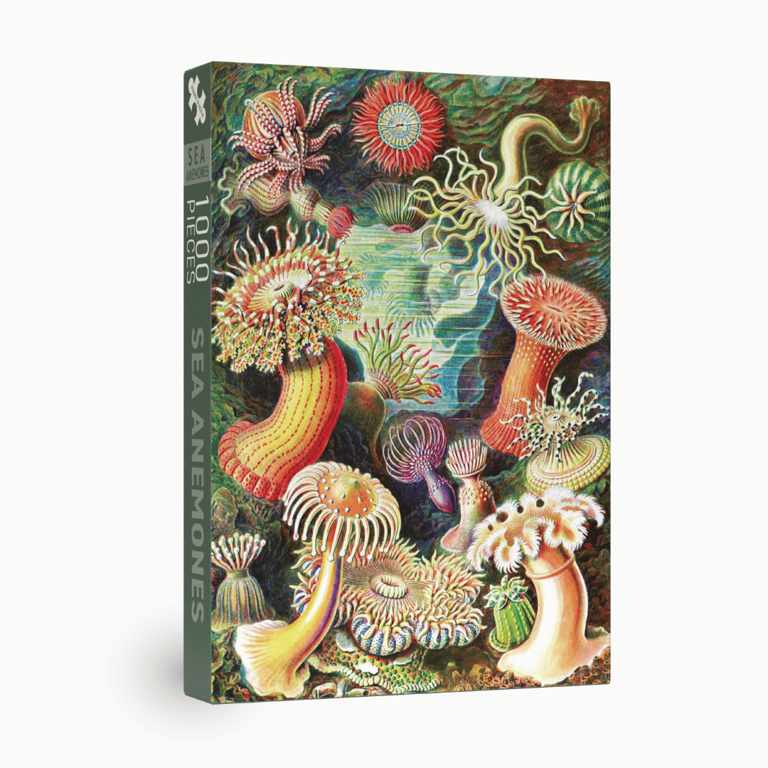 Penny Puzzle - Sea Anemones - 1000 Teile Puzzle