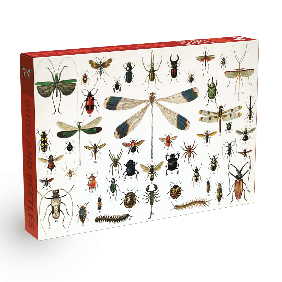 Penny Puzzle - Bugs and Beetles - 1000 Teile Puzzle - Nur CHF 24.90! Jetzt kaufen auf fluxed.ch