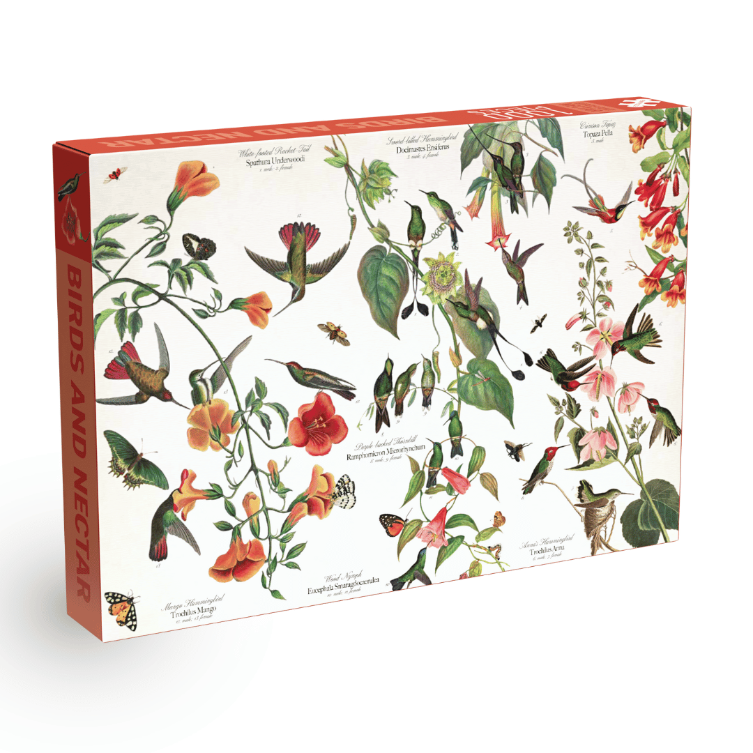 Penny Puzzle - Birds and Nectar - 1000 Teile Puzzle