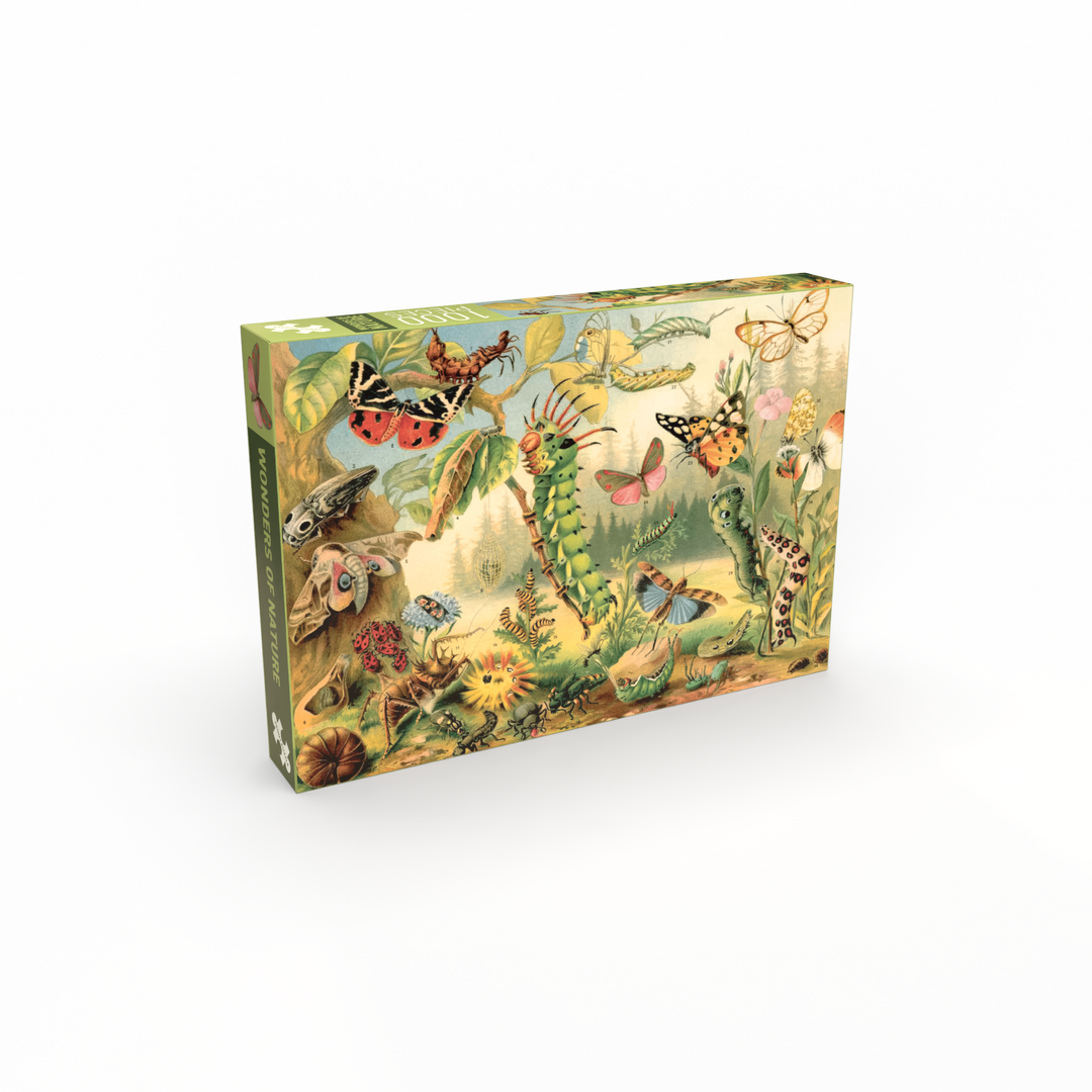 Penny Puzzle - Wonders of Nature - 1000 Teile Puzzle