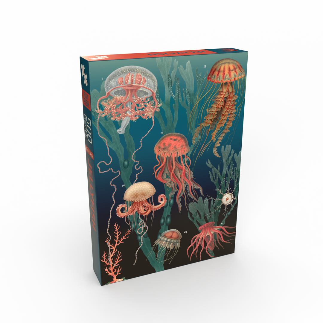 Penny Puzzle - Jellyfish - 500 Teile Puzzle