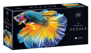Interdruk - Fisch - Colourful Nature No. 6 - 250 Teile Puzzle