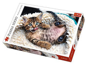 Trefl - Cheerful Kitten - 1000 Teile Puzzle