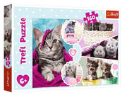 Trefl - Entzückende Kätzchen - 160 Teile Puzzle