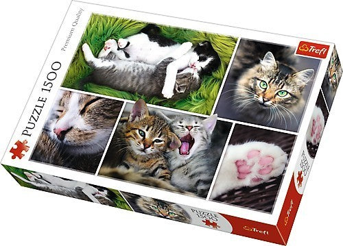 Trefl - Collage - Die Katzen - 1500 Teile Puzzle - Nur CHF 19.90! Jetzt kaufen auf fluxed.ch
