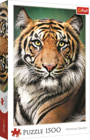 Trefl - Portrait of a Tiger - 1500 Teile Puzzle